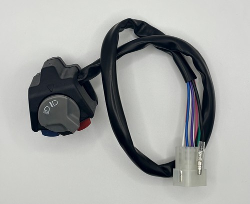 Headlight horn kill - kill, multi